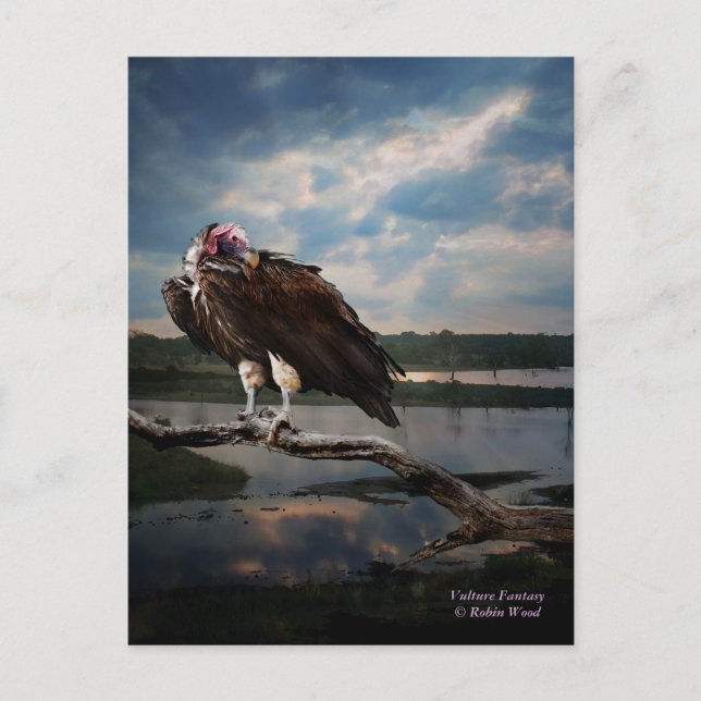 Vulkanfantasy Postkarte (Vorderseite)