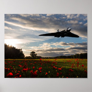 Vulkangeschichte Poster