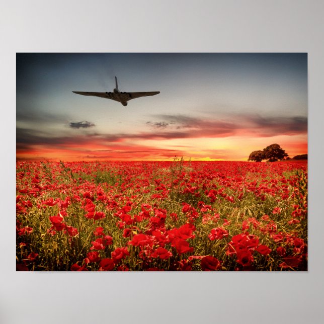 Vulkanischer Endflug Poster (Vorne)