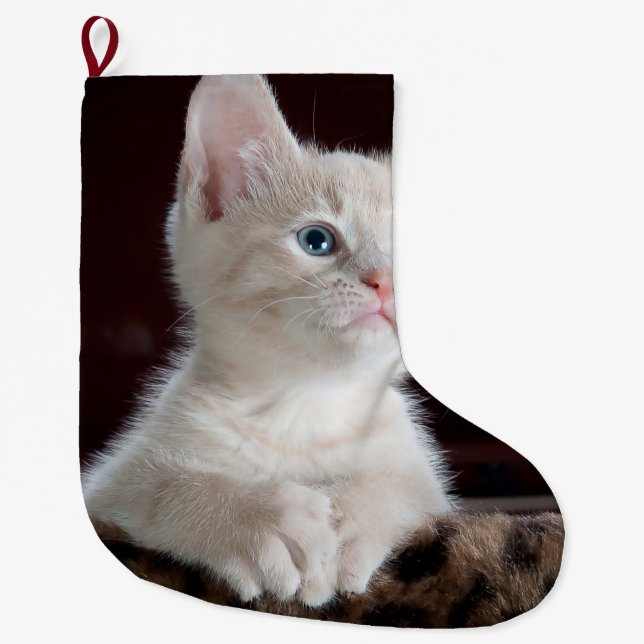 Vulnerable White Kitten Großer Weihnachtsstrumpf (Vorderseite)