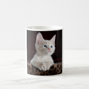 Vulnerable White Kitten Kaffeetasse