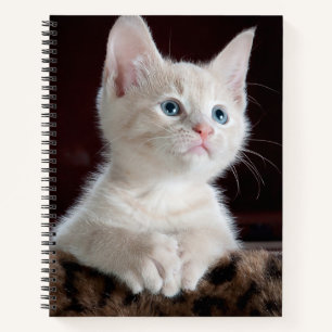 Vulnerable White Kitten Notizbuch