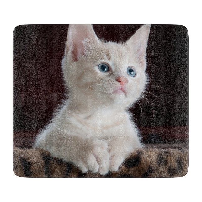 Vulnerable White Kitten Schneidebrett (Vorderseite)