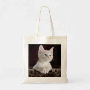 Vulnerable White Kitten Tragetasche