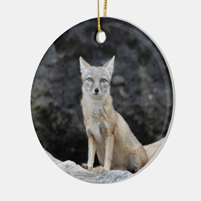 Vulpes corsac keramik ornament (Links)