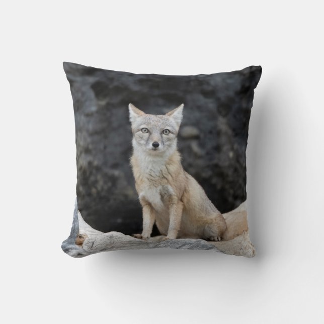 Vulpes corsac kissen (Vorderseite)