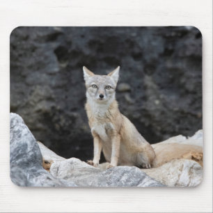 Vulpes corsac mousepad