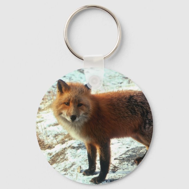 Vulpes_vulpes_red fox schlüsselanhänger (Vorderseite)