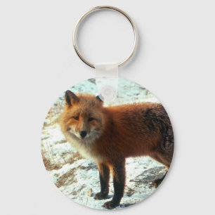 Vulpes_vulpes_red Fuchs Schlüsselanhänger