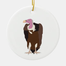 Vulture Bird-Illustration