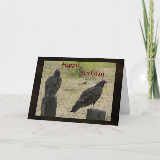 Vulture Birthday Card Karte (Vorderseite)