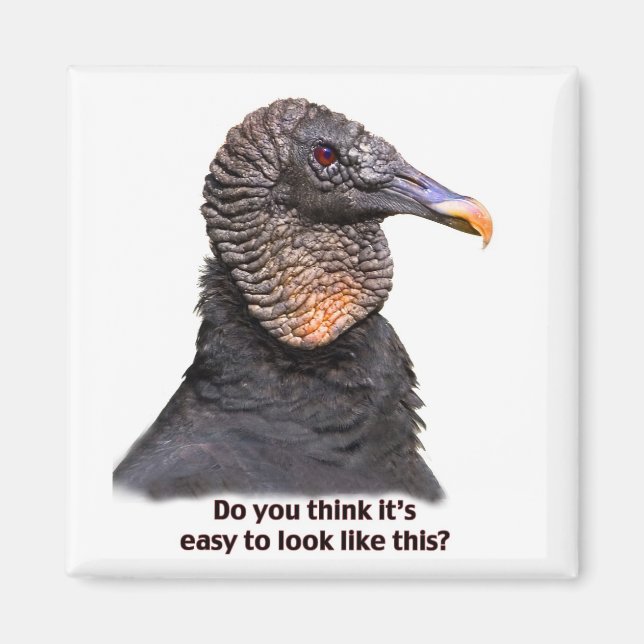 Vulture Magnet (Vorne)