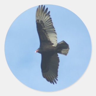 Vulture Ornithology Runder Aufkleber