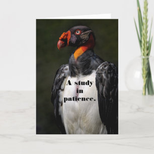 VULTURE PATIENCE CARTE D'ANNIVERSAIRE