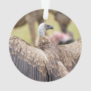 Vulture und Hyena Ornament