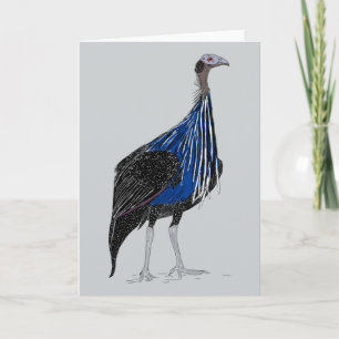 Vulturine Guineafowl Dankeskarte