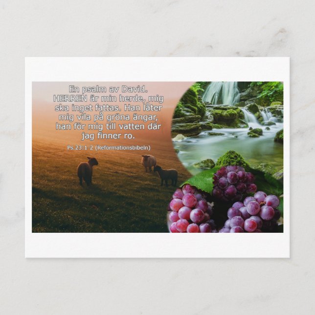 Vykort - Psalm 23: 1-2 Postkarte (Vorderseite)