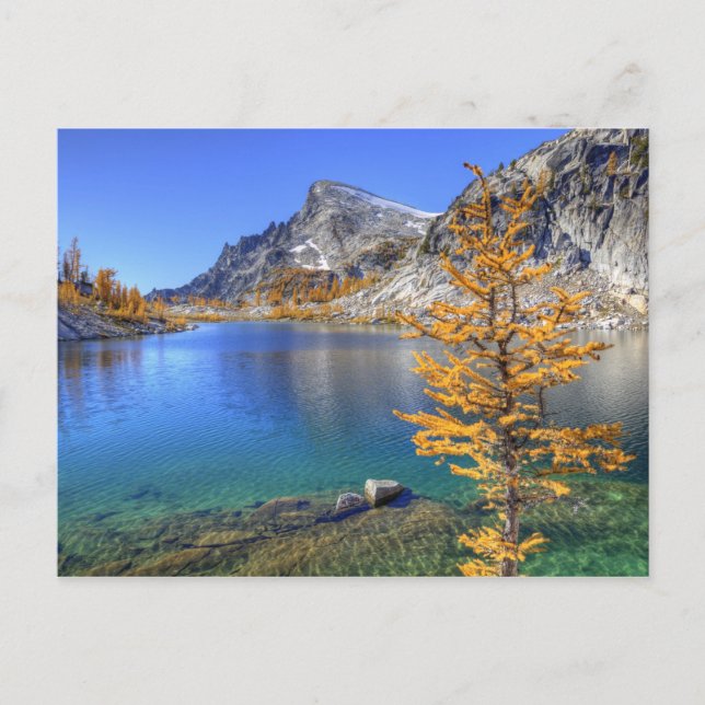 WA, Alpenseen Wildnis, Verzauberung 4 Postkarte (Vorderseite)
