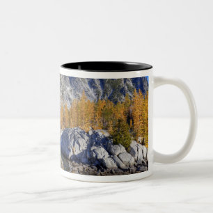 WA, Alpenseen Wildnis, Verzauberung 7 Zweifarbige Tasse