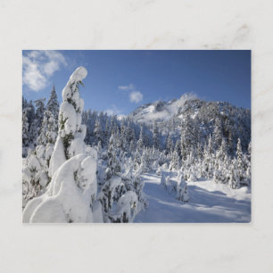 WA, Alpine Lakes Wilderness, Snow Lake-Becken Postkarte