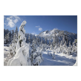 WA, Alpseen Wilderness, Schneesee-Becken Fotodruck