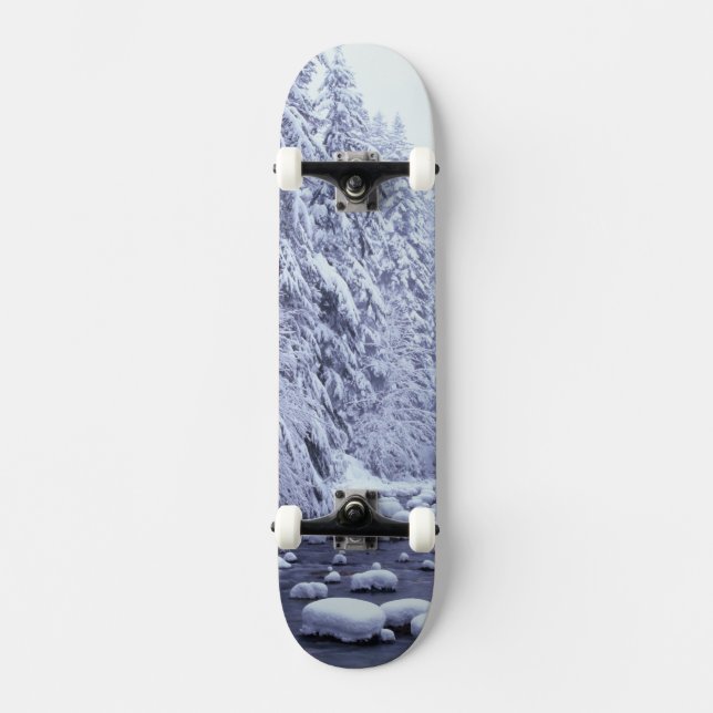 WA, Baker-Snoqualmie-Nationalwald, Skateboard (Vorderseite)