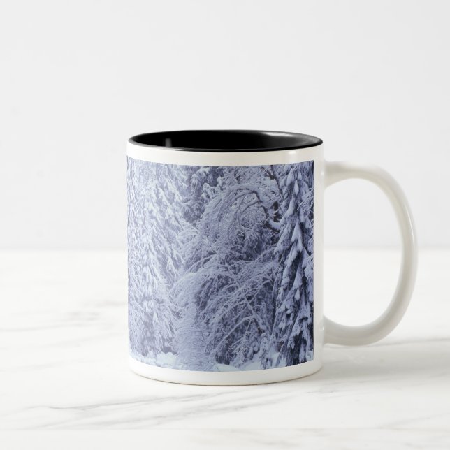 WA, Baker-Snoqualmie-Nationalwald, Zweifarbige Tasse (Rechts)