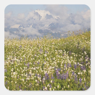 WA, Baker Wilderness, Mt. Shuksan und Quadratischer Aufkleber