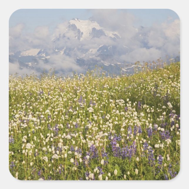 WA, Baker Wilderness, Mt. Shuksan und Quadratischer Aufkleber (Vorderseite)
