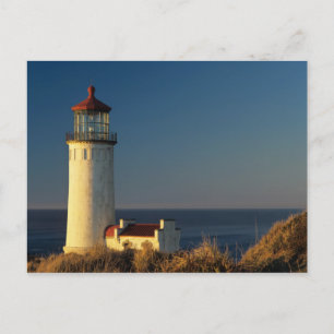 WA, Cape Disappointment State Park, North Head Postkarte