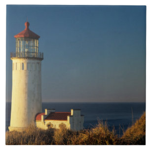 WA, Cape Enttäuschung Staat Park, Nord Head Fliese