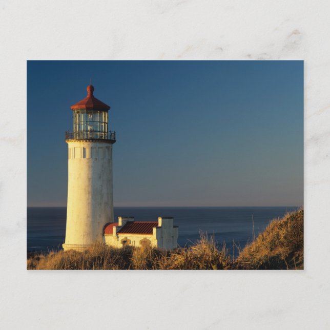 WA, Cape Enttäuschung Staat Park, Nord Head Postkarte (Vorderseite)