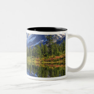 WA, Heather Meadows Freizeitgelände, Mt. Zweifarbige Tasse