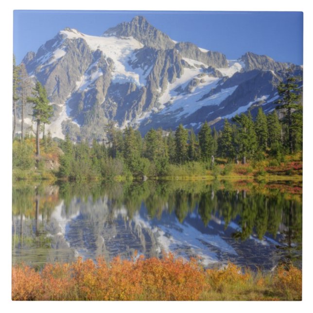 WA, Heather Meadows Recreation Area, Mt. Fliese (Vorderseite)