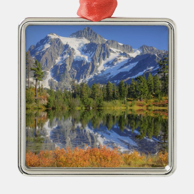 WA, Heather Meadows Recreation Area, Mt. Silbernes Ornament (Vorne)
