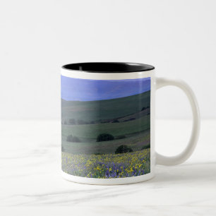 WA, Klickitat County, Dalles Mountain Ranch, Zweifarbige Tasse