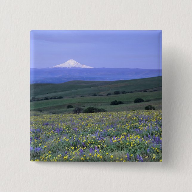 WA, Klickitat Landkreis, Dalles Mountain Ranch, Button (Vorderseite)