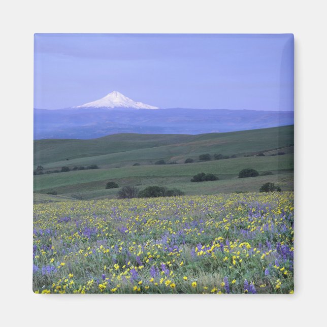 WA, Landkreis Klickitat, Ranch der Berge Dalles, Magnet (Vorne)