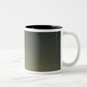 WA, Mount Rainier National Park, Mount Rainier, Zweifarbige Tasse