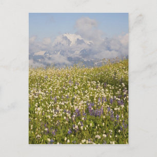 WA, Mt. Baker Wilderness, Mt. Shuksan und Postkarte