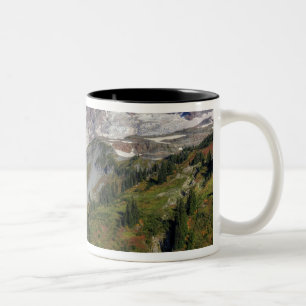 WA, Mt. Rainier Nationalpark, Blick von der Zweifarbige Tasse