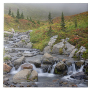 WA, Mt. Rainier Nationalpark, Edith Creek Fliese