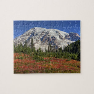 WA, Mt. Rainier Nationalpark, Paradise Valley