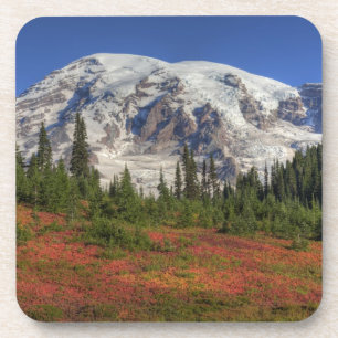 WA, Mt. Rainier Nationalpark, Paradise Valley Untersetzer
