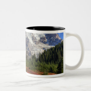 WA, Mt. Rainier Nationalpark, Paradise Valley Zweifarbige Tasse