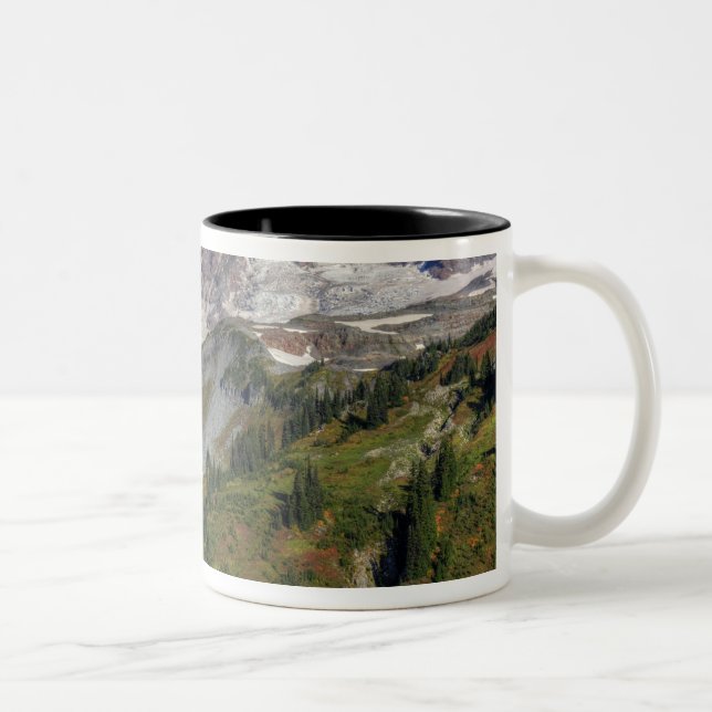 WA, Nationalpark Rainier, Aussicht vom Zweifarbige Tasse (Rechts)