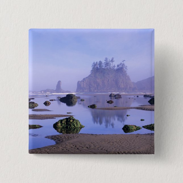 WA, Olympic National Park, Second Beach, Button (Vorderseite)