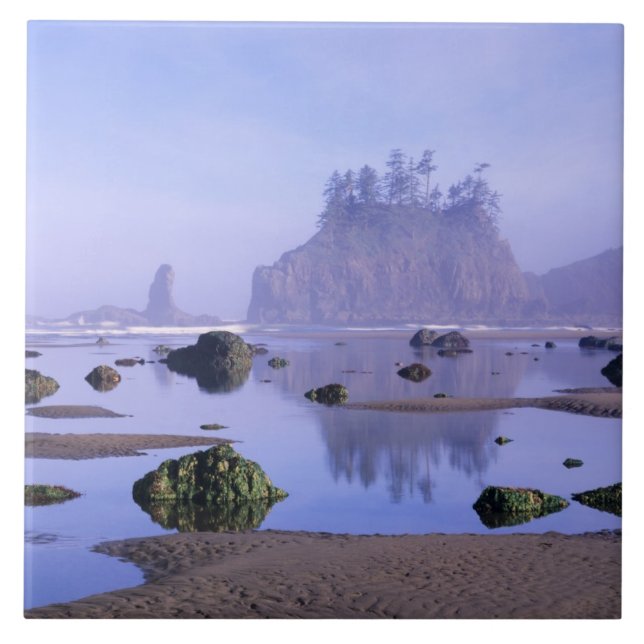 WA, Olympic National Park, Second Beach, Fliese (Vorderseite)