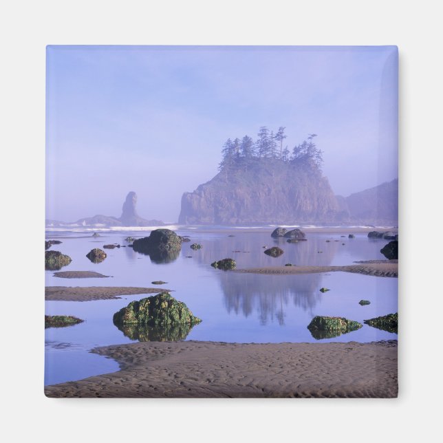 WA, Olympic National Park, Second Beach, Magnet (Vorne)