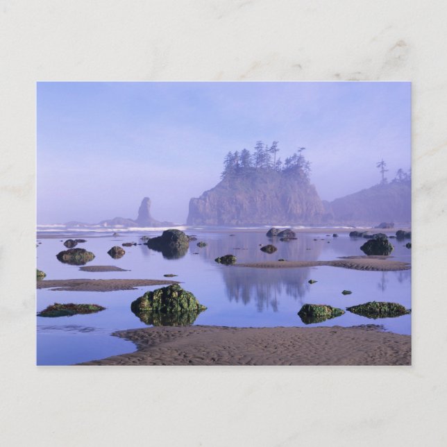 WA, Olympic National Park, Second Beach, Postkarte (Vorderseite)
